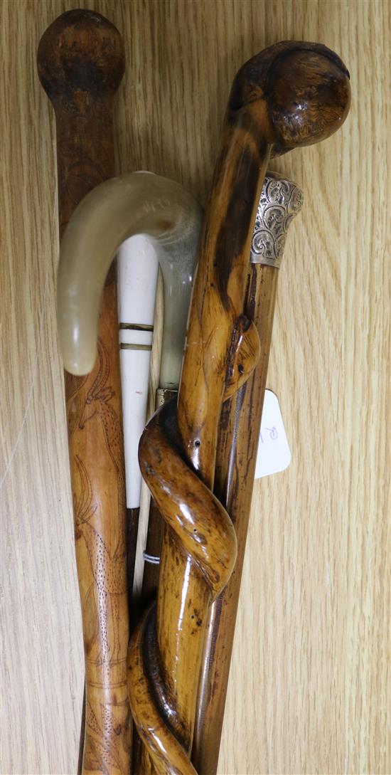 A silver topped horn and other walking sticks